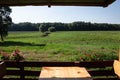 Panorama of the obedska bara wetlandwith a focus on its meadow, a swamp with a plain grass in summer. Obedska bara is a forest and Royalty Free Stock Photo