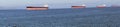 Panorama, Oil tankers anchored Royalty Free Stock Photo