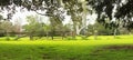 panorama of an old timber hardwood gate running along the back of a lush green garden beside the shade of a tall tree and small Royalty Free Stock Photo