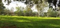 Panorama of an old timber hardwood gate running along the back of a lush green garden beside the shade of a tall tree and small Royalty Free Stock Photo