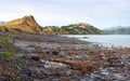 Panorama of Onawe Paninsula, Low Tide, Akaroa Harbour, New Zealand Royalty Free Stock Photo