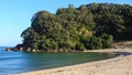 Sandy beach with wooded headland, Coromandel, New Zealand