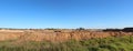 Panorama of open cut mineral sands mining at Dardanup Western Australia.