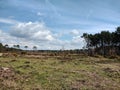 Panorama of open heathland under blue skies.