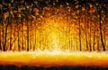 Panorama orange autumn sunny warm park alley forest original oil painting Royalty Free Stock Photo