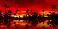 Panorama Orange and red sunset over sea beach Royalty Free Stock Photo