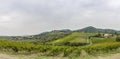 Panorama over the hills with vineyards and castle Brolio in Tuscany in Italy Royalty Free Stock Photo