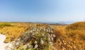 Panorama over the island of Paros. Cactus bush in front of the wide angle panorama. Limited rain fall turns the landscape a dry Royalty Free Stock Photo