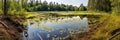 Panorama with overgrown swampy lake shore and forest in the background, concept of Ecological diversity, created with