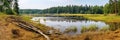 Panorama with overgrown swampy lake shore and forest in the background, concept of Ecological diversity, created with