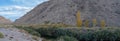 Panorama of the Owens River and autumn foliage above the Pleasant Valley Dam near Bishop, California, USA