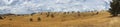 Panorama of paddock with yellow grass. picturesque rural landscape Royalty Free Stock Photo