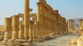 Panorama of Palmyra columns, Tetrapylon and ancient city, destroyed ISIS Syria