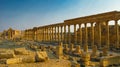 Panorama of Palmyra columns and ancient city, destroyed ISIS Syria