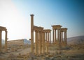Panorama of Palmyra columns, Tetrapylon, ancient city, destroyed now, Syria