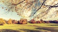 Panorama of the park in Falkirk, beautiful Autumn Royalty Free Stock Photo