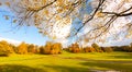 Panorama of the park in Falkirk, beautiful Autumn Royalty Free Stock Photo