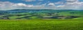 Patchwork plots of land from the side of a green field of winter wheat in early spring