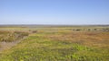 Paynes Prairie Preserve State Park Panorama
