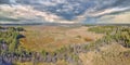 Panorama of peat swamp under sky with heavy clowds Royalty Free Stock Photo