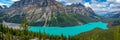 Panorama of Peyto lake on Icefields Parkway in Banff National Park, Alberta, Rocky Mountains Canada Royalty Free Stock Photo