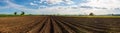Panorama photo rows of soil before planting. Furrows row pattern in a plowed field prepared for planting crops in spring. Panorama