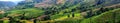 Panorama picture of agriculture fields on foot of the hill.