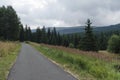 Panorama of picturesque forest with road and glade, Vitosha mountain