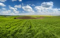 Panoramic view of pieces of agricultural arable land, rapeseed from the green field of winter wheat in early spring Royalty Free Stock Photo