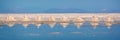 Panorama of piles of salt aligned in Salar de Uyuni Uyuni salt flats, Potosi Bolivia