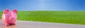 Panorama Pink Piggy Bank In A Green Field Panoramic Web Banner Royalty Free Stock Photo