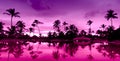 Panorama Pink and red sunset over sea beach Royalty Free Stock Photo