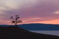 Panorama pink sunset,misty hills mountain tops in pink dawn