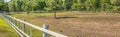 Panorama of a place for summer walks and pastures for cows. Royalty Free Stock Photo