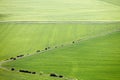 Panorama of the plain of Assisi, Italy Royalty Free Stock Photo