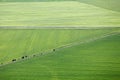 Panorama of the plain of Assisi, Italy Royalty Free Stock Photo