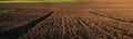 plowed field, lines along rural beds and green fields, land for sale