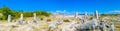 Panorama of Pobiti Kamani, Bulgaria Royalty Free Stock Photo