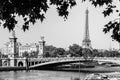 Panorama of the Pont Alexandre III bridge over the River Seine and the Eiffel Tower in the summer morning. Bridge decorated with