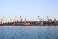 Panorama of the port cranes, seaport