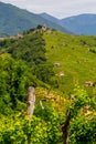 Panorama of Prosecco wine region, Combai village Royalty Free Stock Photo