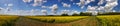 Panorama rapefield Royalty Free Stock Photo