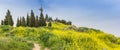 Panorama of rapeseed flower and jesus statue in Tudela