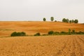 Panorama Recently Plowed Farmland