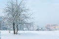 Panorama of residential area of the city on a sunny winter day with hoarfrost trees Royalty Free Stock Photo