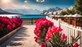 Panorama of the resort with the Sea, wide beach, scarlet oleander bush, wooden fence and lanterns in retro style Royalty Free Stock Photo