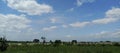 Panorama ricefield ricefieldtrees whiteclouds Royalty Free Stock Photo