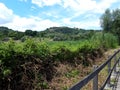 Panorama of Riserva del Tevere Farfa