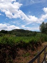 Panorama of Riserva del Tevere Farfa
