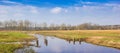 Panorama of the river Drentse Aa in the nature reserve of Oudemolen Royalty Free Stock Photo